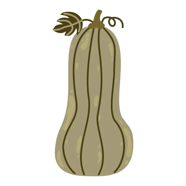 Autumn green pumpkin with leaf. Pumpkin symbol for autumn Halloween or Thanksgiving. Flat pumpkin for harvest season, Thanksgiving, Halloween. Colorful cartoon illustration.