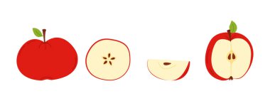 Düz arkaplana izole edilmiş kırmızı elma çizimleri seti: Yapraklı bütün elma, çekirdekli kesit, dilimlenmiş yarım elma. Gıda tasarımı için taze organik meyve koleksiyonu, sağlıklı beslenme konsepti