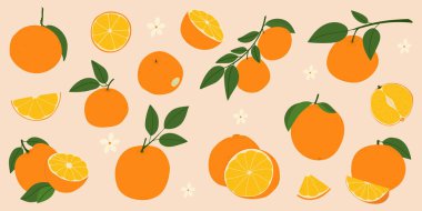 Turuncu turunçgil meyve vektörü bej arka planda. Yaz tasarımı, duvar kâğıdı, tekstil ve meyve suyu ambalajı için portakal, dilim, yarım çiçek koleksiyonu.