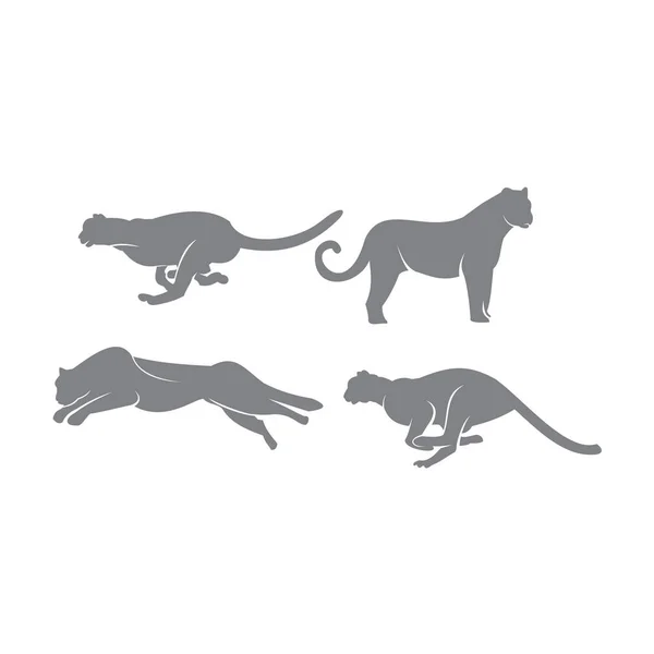 Cheetah Set Sjabloon Illustratie Wild Kat Embleem Ontwerp Bewerkbaar Voor — Stockvector