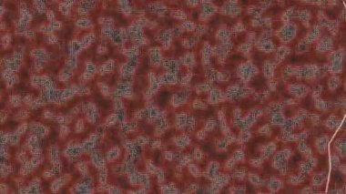 Kırmızı ve Gri Soyut Devre Tahtası Deseni