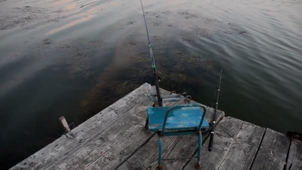 Vissen op een houten pier. — Stockvideo