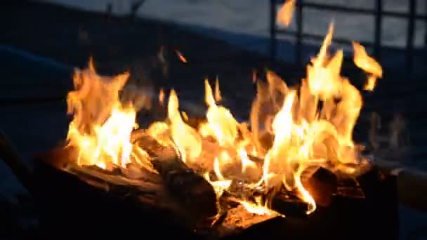 Le feu de bois dans un brasero . — Video