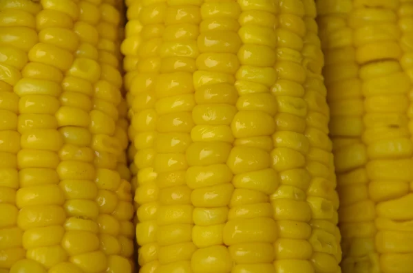 Yellow corn texture — Stock Photo, Image