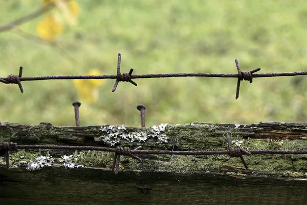 Dikenli tel üzerinde eski bir ahşap çit