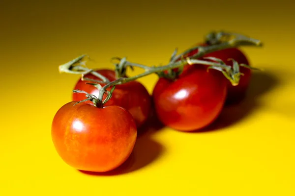 Rama Tomates Rojos Sobre Fondo Amarillo — Foto de Stock