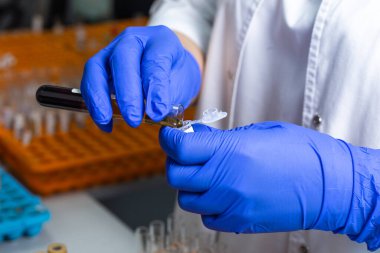 Laboratuar teknisyeninin işi yakın plan çekimleri şişede çömelmeleri karıştırıyor..