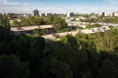 Bir yaz günü, şehir evlerinin çatıları bir ağaç zeminine karşı..