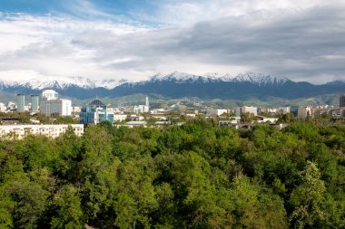 Yeşil ağaçları ve mavi gökyüzü olan yaz şehri dağların arka planında.