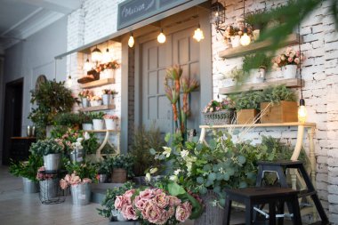 Beyaz tuğlalı bir duvarın arka planında bir sürü yeşil çiçek var..