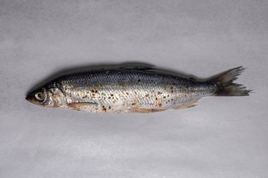 Gri arka planda baharatlı nehir balığı..