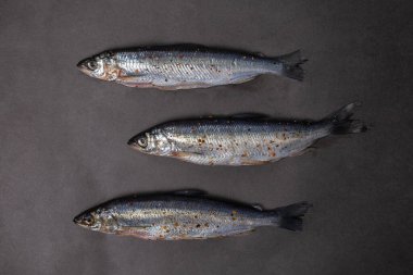three small fish on a black background.
