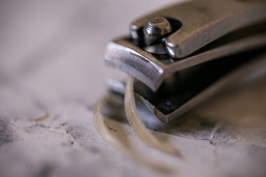 Tırnak makası ile kesilmiş bir insan tırnağı kalıntıları.