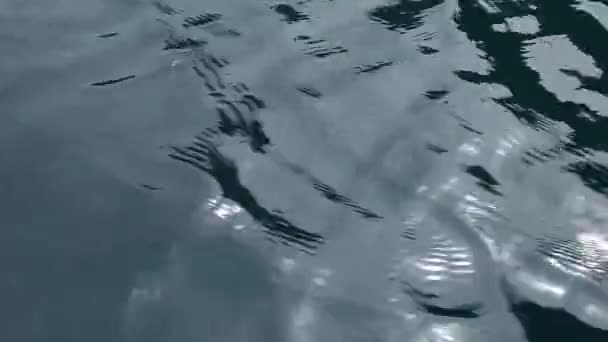 Olas de agua en un lago azul de cerca — Vídeos de Stock