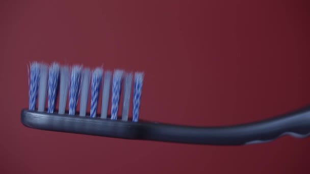 Toothpaste is pressed on a brush on a burgundy background — Stock Video