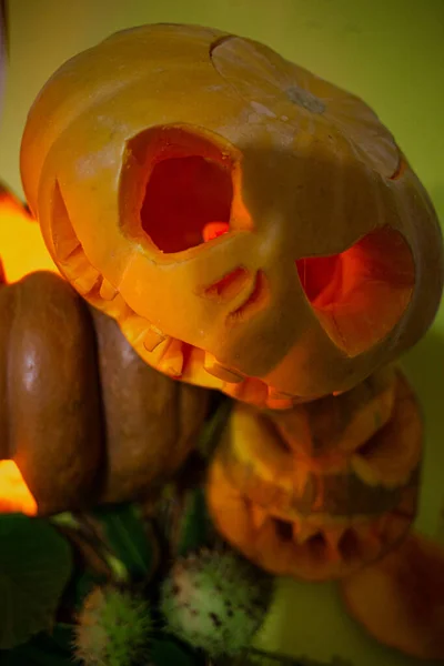 Photo Composition Five Pumpkins Halloween — Stock Photo, Image