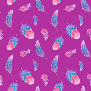 Leylak, renkli tüyler. Suluboya kalemlerle çizilmiş. Kusursuz arkaplan. 