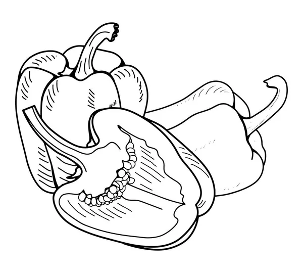 Контурный Рисунок Колбасного Перца Изолированное Изображение Белом Фоне Рисунок Вегетарианской — стоковый вектор
