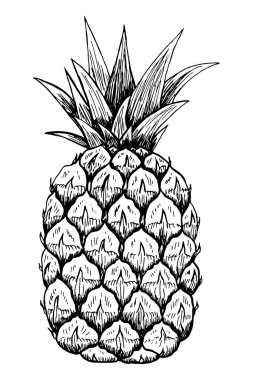 Bir ananas çizimi. İzole edilmiş el yapımı ananas. Tropik meyve. Vejetaryen ve vitamin yiyeceği..