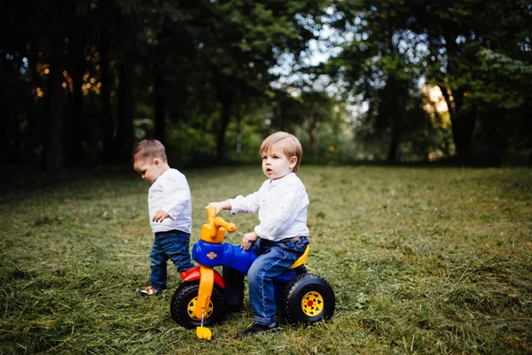 Šťastný radostné otec baví hodí se ve vzduchu — Stock fotografie