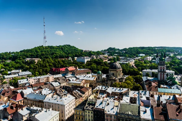 Lviv, Ucrania - 28 de julio de 2016 . — Foto de Stock