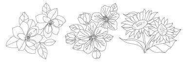 Beyaz arka planda elma, ayçiçeği ve manolya çiçeği çizimi. Çizgi çizme. Çizgi çiziminden yapılmış üç çiçek seti.