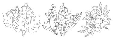 Beyaz arka planda çan çiçeği, helikonya ve zambak çiçeği çizimi. Çizgi çizme. Çizgi çiziminden yapılmış üç çiçek seti.