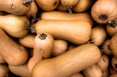 Close-up pile of pumpkins Fresh orange pumpkins stacked tightly, perfect seasonal harvest background for autumn and Halloween.
