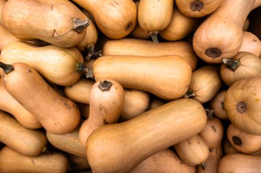 Close-up pile of pumpkins Fresh orange pumpkins stacked tightly, perfect seasonal harvest background for autumn and Halloween.