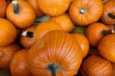 Close-up pile of pumpkins Fresh orange pumpkins stacked tightly, perfect seasonal harvest background for autumn and Halloween.