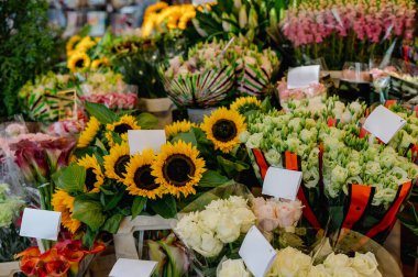 Şehrin ikonik kanalı boyunca taze çiçek ve ampullerle dolu canlı tezgahlar..