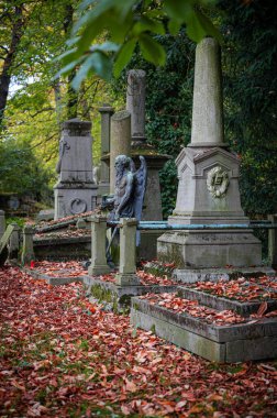 Gent, Belçika - 16 Kasım 2024. Sint-amandsberg belediyesindeki Campo Santo tarihi mezarlığında antik mezarlıklar ve mezar taşları