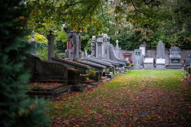 Gent, Belçika - 16 Kasım 2024. Sint-amandsberg belediyesindeki Campo Santo tarihi mezarlığında antik mezarlıklar ve mezar taşları