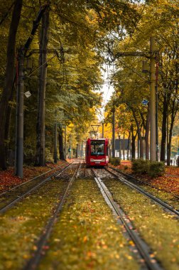 Tramvay sonbaharda ağaçların arasından geçiyor. Yüksek kalite fotoğraf