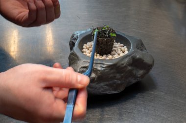 Zarif bir şekilde hazırlanmış tatma ısırığı lüks bir yemek ortamında şefin iltifatı olarak sunuluyor..