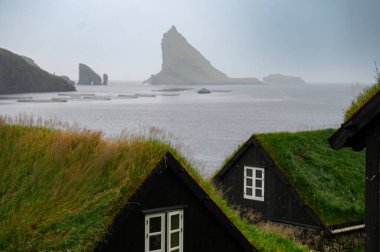 Geniş manzaralı engebeli uçurumlar, kayalık kıyı şeridi ve okyanus dalgaları..