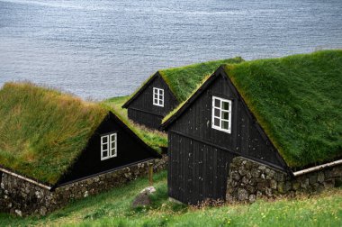 Yeşil uçurumların ve okyanus dalgalarının çarpıcı doğal manzarası..