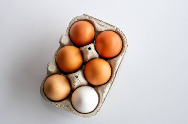 Beyaz arka planda geri dönüştürülebilir kağıt tepside taze toplanmış çiftlik yumurtaları. Sürdürülebilir yaşam tarzı ve Paskalya sembolü.