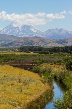 Patagonya landscap