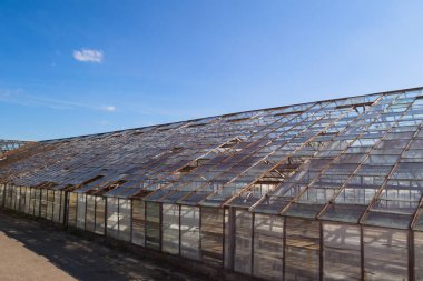 Camdan çatılı eski bir sera.