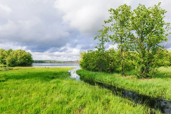 Yaz manzara. Ahşap göle