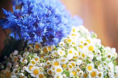 Peygamber ve chamomiles doğal buket