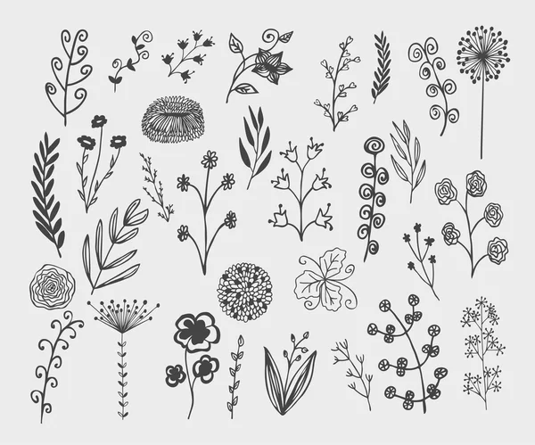 Elementi decorativi floreali disegnati a mano — Vettoriale Stock