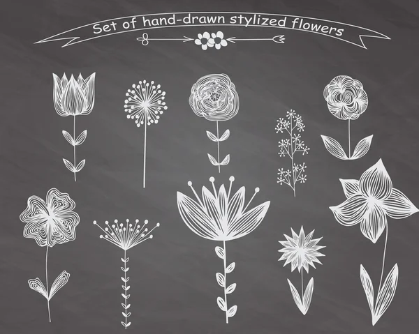 Conjunto de flores desenhadas à mão . —  Vetores de Stock