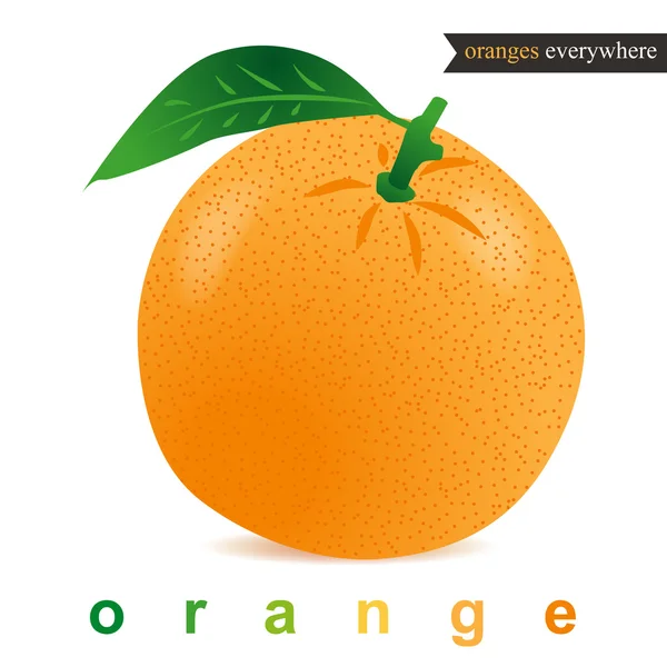 Lekker oranje voor ontbijt. — Stockvector