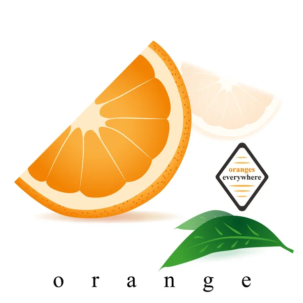 Rebanadas de naranja para el desayuno . — Vector de stock
