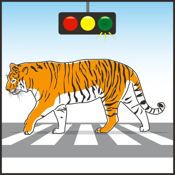 Marcher sur le tigre de passage . — Image vectorielle