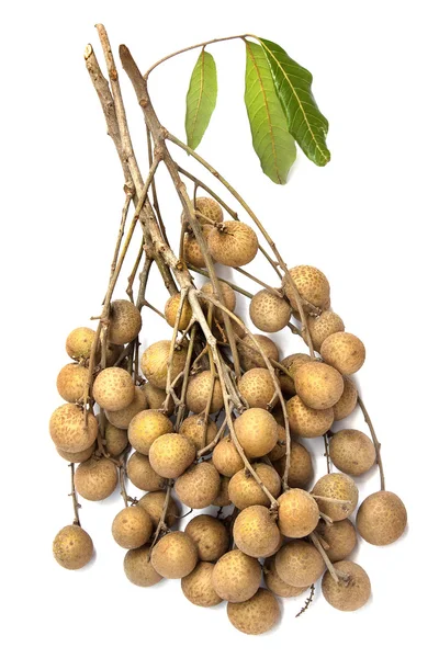 Beyaz arkaplanda taze longan