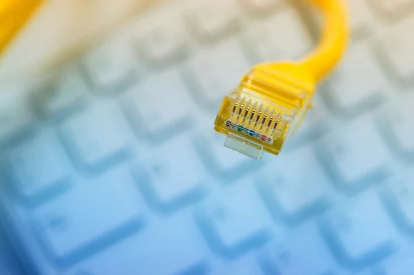Makró a sárga hálózati kábel — Stock Fotó