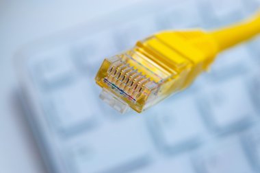 Makro bir sarı ağ kablosu